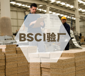 BSCI驗廠